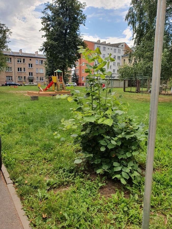 Apartament Erfolg 6 Daugavpils Exterior photo
